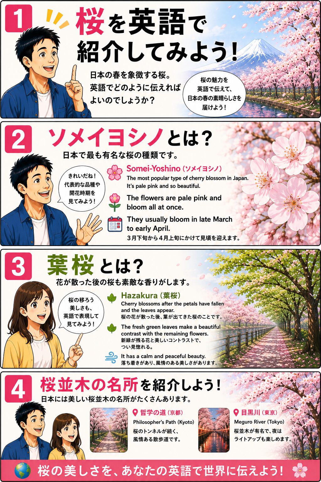 桜を英語で説明する完全ガイド — ソメイヨシノ・葉桜・桜並木まで